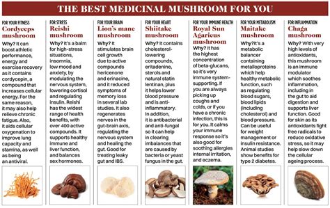 medicinal mushrooms chart